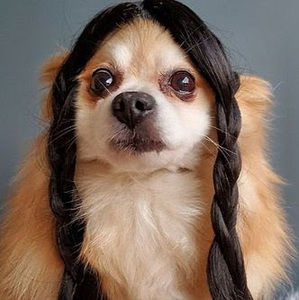 Meet your Posher, Kassi